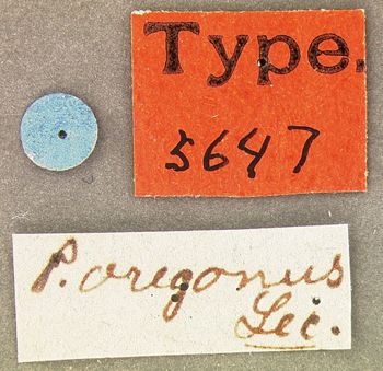 Media type: image;   Entomology 5647 Aspect: labels
